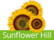 Sunflower Hill - Garden